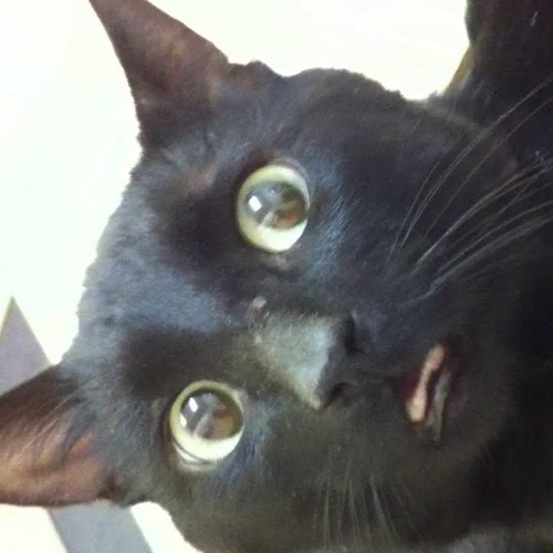 deadmau5 vs. TWR72 - Sometimes Things Get, Mouth (Bananas Mashup)