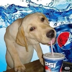 Mind Reflection - Remember December