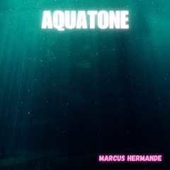 Aquatone