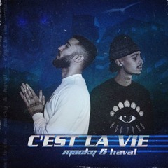 Macky x Haval - C'est la vie