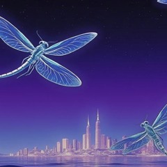 Dragonfly’s Flight