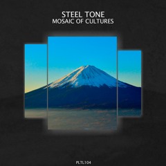 Steel Tone - Mosaic