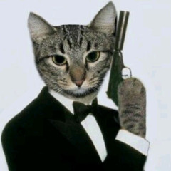 The Speeding Gears Of Mafia