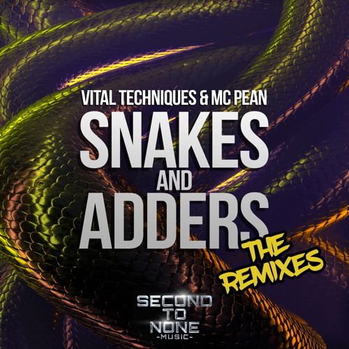 Snakes and Adders (Bailey P Remix)
