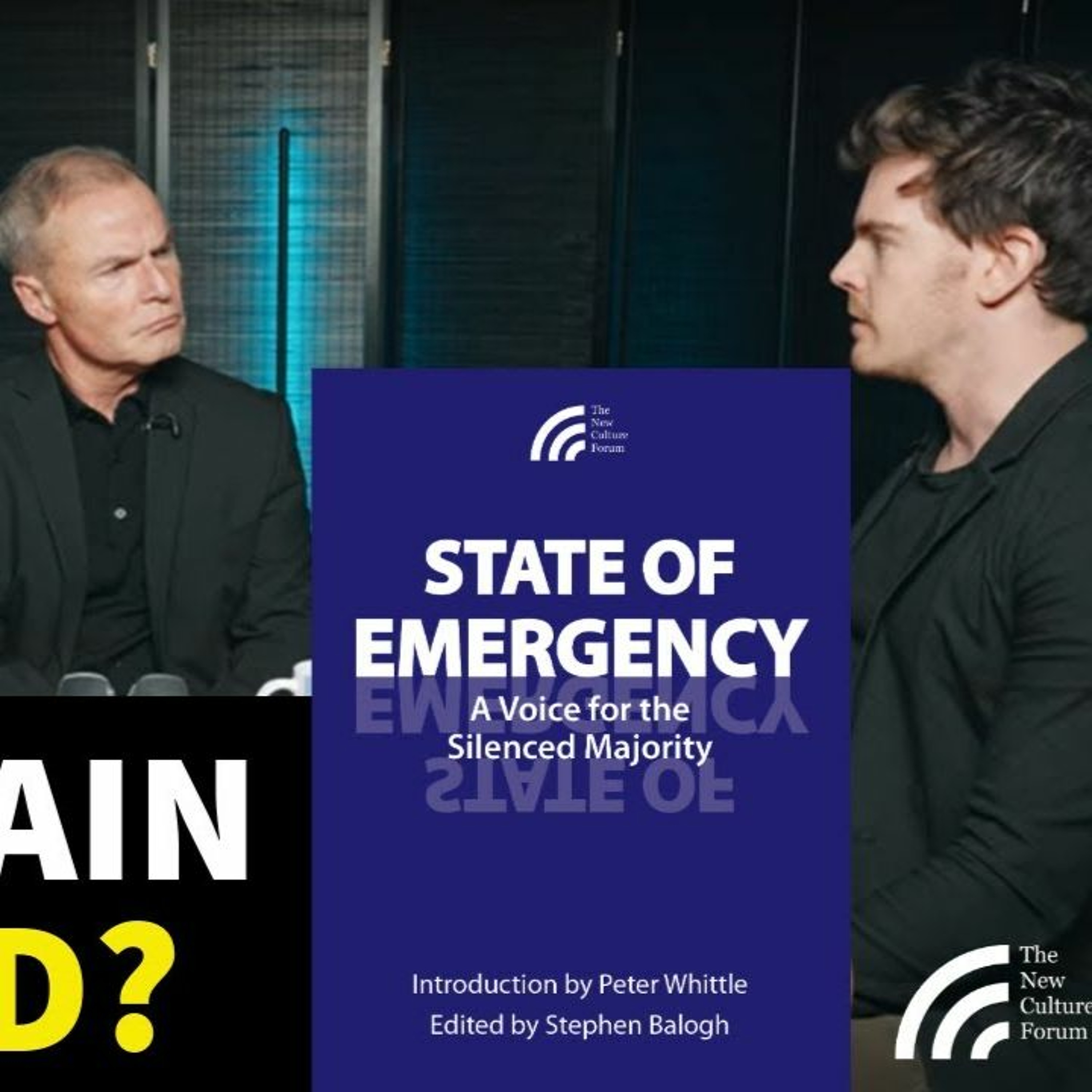How to Save Britain from Cultural Obliteration. State of Emergency: The New Culture Forum's new book