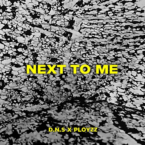 D.N.S. & PLOYZZ - NEXT TO ME [FREE DOWNLOAD]