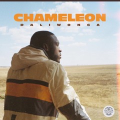 Daliwonga - Chamelion | album mix |