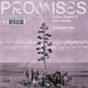Promises (Extended Mix) thumbnail