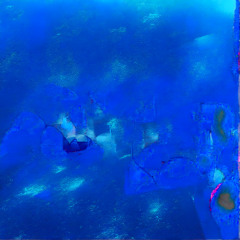 天才チンパンジー「アイちゃん」 - This is Da JAZZ