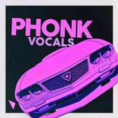 Voice / Acapella - Senta Senta Sem Parar for Brazilian Phonk - WZ Beat