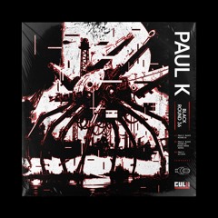 [PREMIERE] B2. Paul K - No Data