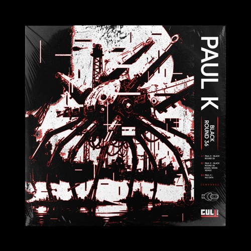 [PREMIERE] B2. Paul K - No Data