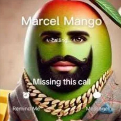 Tigger Phonk feat ricardo