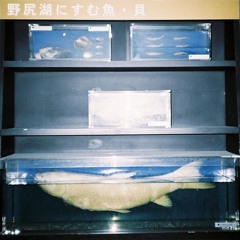 象魚