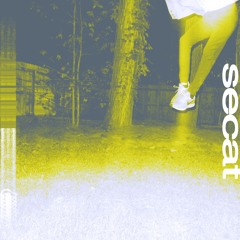 PFP02 - secat