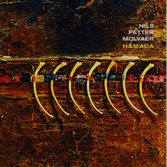 Exhumation