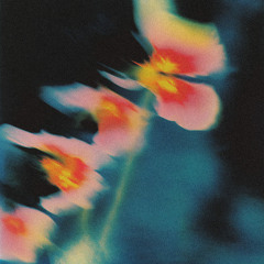 Silence // Into Essence