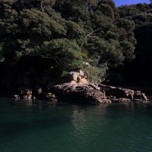 I Longed to Be Ordinary