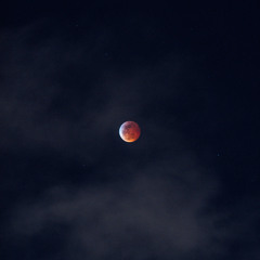 midnight meditations (146bpm G Minor)