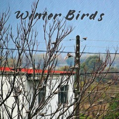 Winter Birds - Χειμωνιάτικα Πουλιά