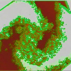 ECHO Rec. Radio | Angelø