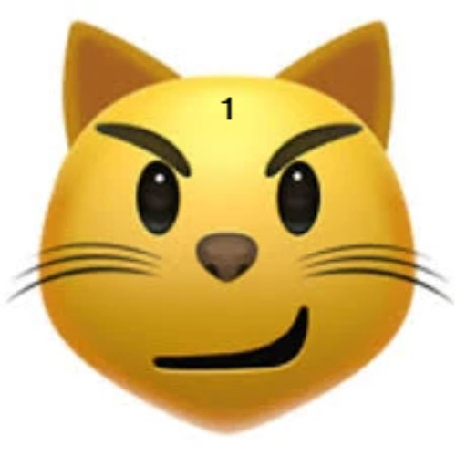 meow