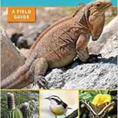 [DOWNLOAD] EPUB ✏️ The Natural History of The Bahamas: A Field Guide by Dave Currie,J