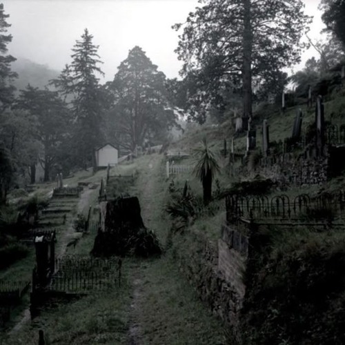 Lost And Gone [Produced By YooshiPalace & Isaac Zero]