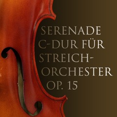 Serenade for String Orchestra C major op. 15