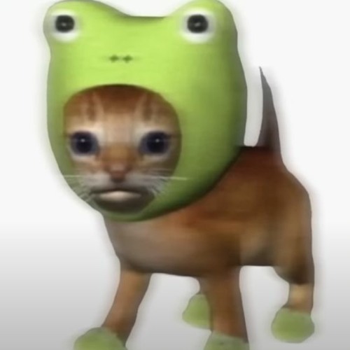 \_/ _  \_/