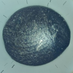 Ponder Tiny Robot - Tamper With This