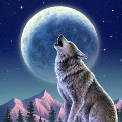 The Night Dog Cometh