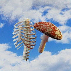 MUSH ROOMS & RIB CAGE