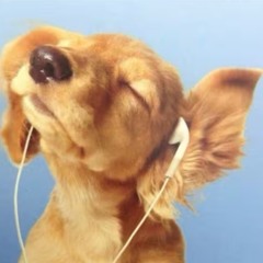 on & on (2023 throwback)