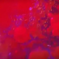 Mree - Lava Lamp (UKG Mix)