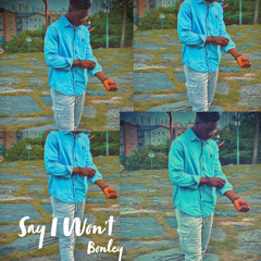 Say I Won't