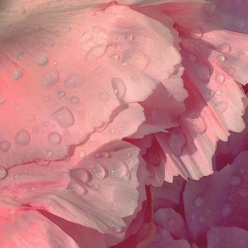 𝒾 𝓃𝑒𝑒𝒹 𝓊