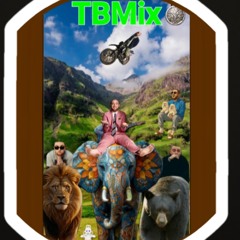 Remix~Mac Miller with Alan Watts~Conversation~Dunno~Guns N Roses Knockin' On Heaven's Door Piano~TBM