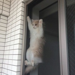 WOODZ - 요즘 뭐 해 How Have You Been