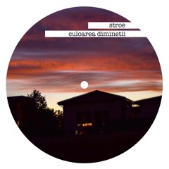 Mihai Stroe - Culoarea Diminetii