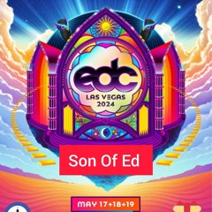 If I Was At EDC 2024 Mix