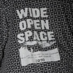 Stars Underground at Wide Open Space 2010