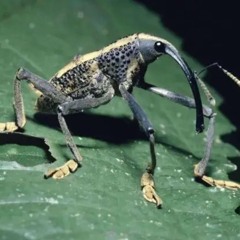 EXPECT LESS MASTERED.m4a