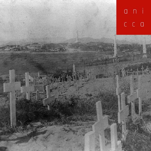 Know How To Survive (low-fi)