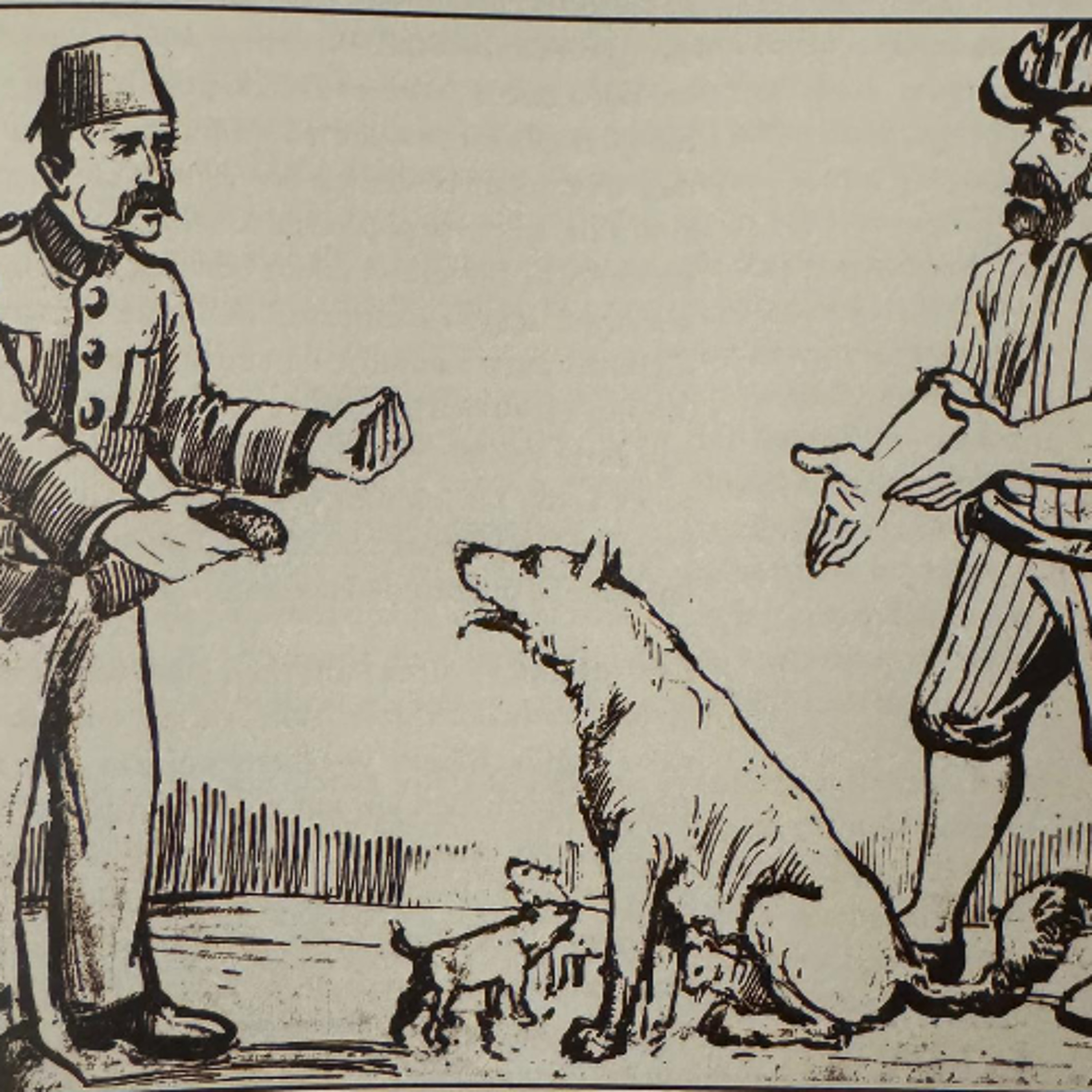 Between Care and Violence: The Dogs of Istanbul | Mine Yıldırım episode artwork