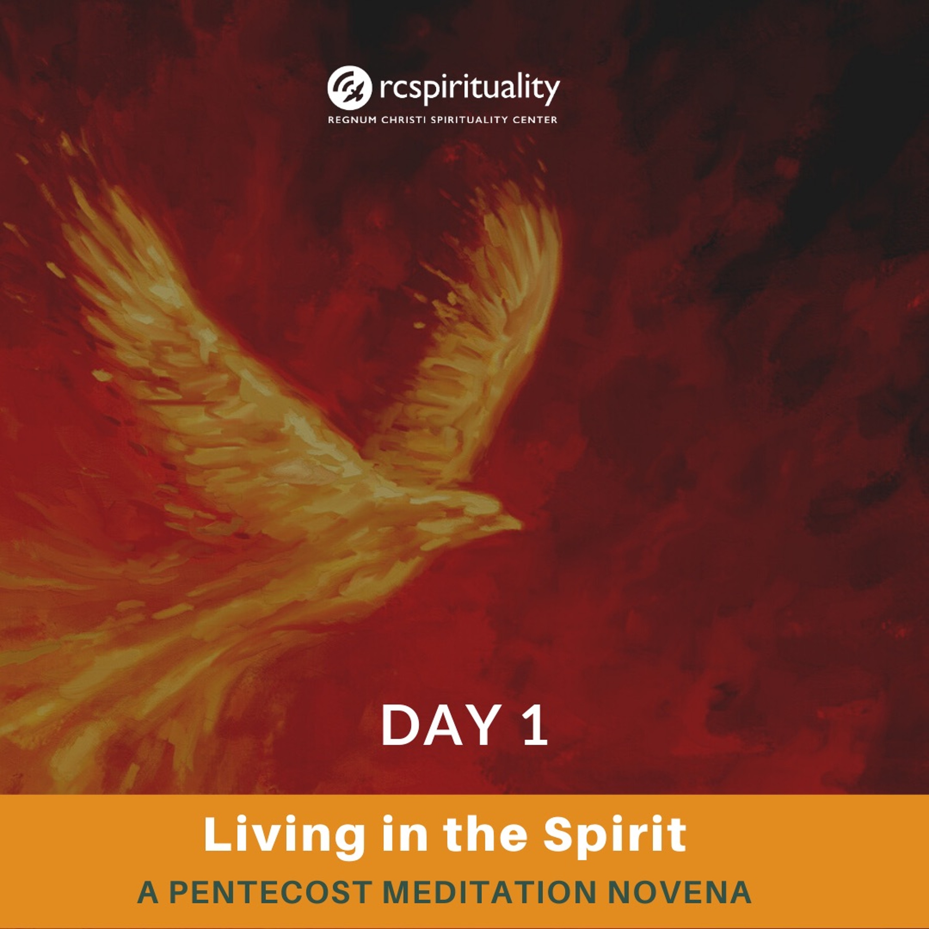 Fr. Jason Brooks Pentecost Meditation Novena Day 1