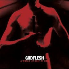 godflesh - shut me down