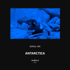 PREMIERE: Serval (AR) - From Birds Like Hummingbirds (Original Mix) [Bullfinch]