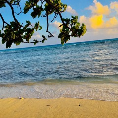 ANGELA X SOUSAFEII X METEII TONG(REMIX)CAPCUT KINE🫱🏻‍🫲🏼