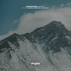 Shayan Pasha - Moments (Greg Tomaz Remix) [3rd Avenue]